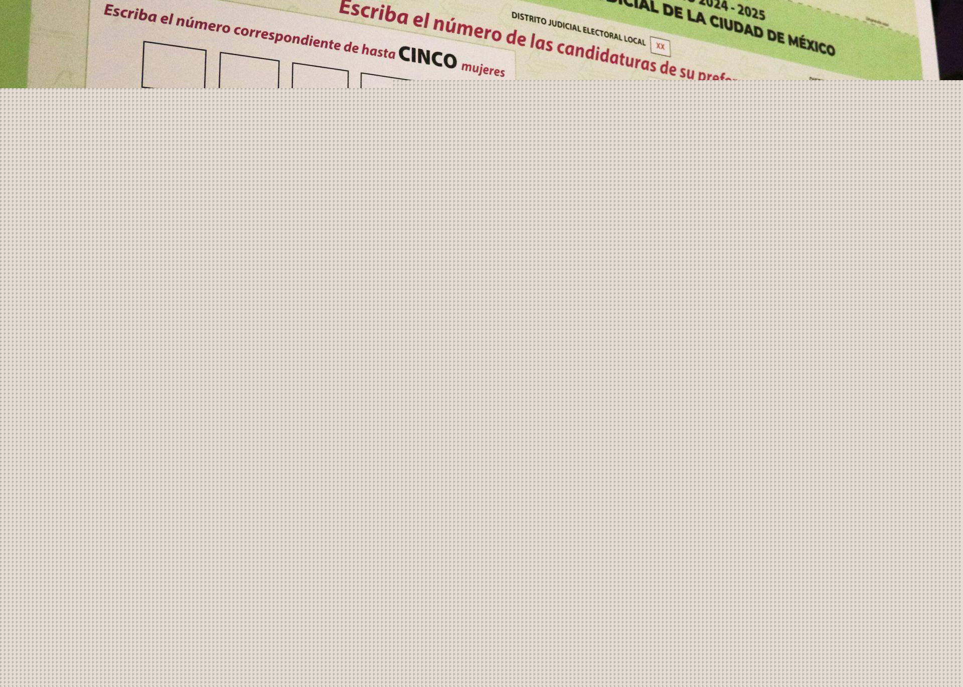 Observatorio Electoral Judicial alerta que diseño de boletas es confusas