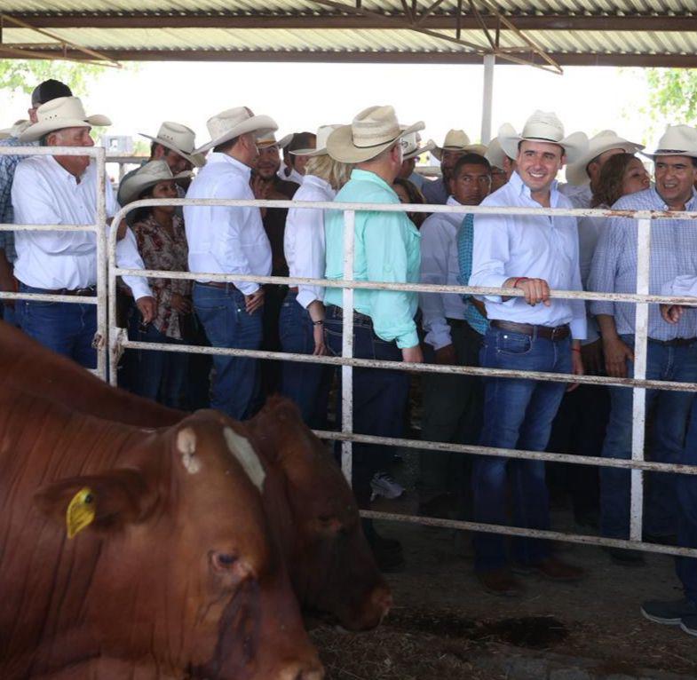 Entrega Manolo Jiménez 400 toros a productores de Coahuila