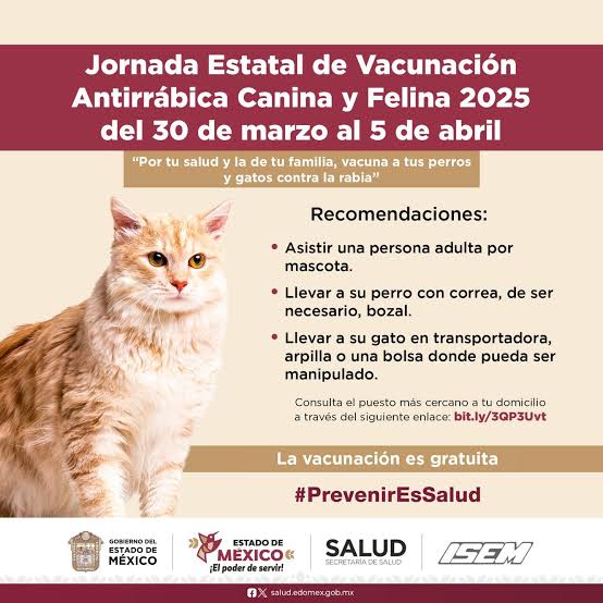 Comienza vacunación antirrábica gratuita en comisarías rurales