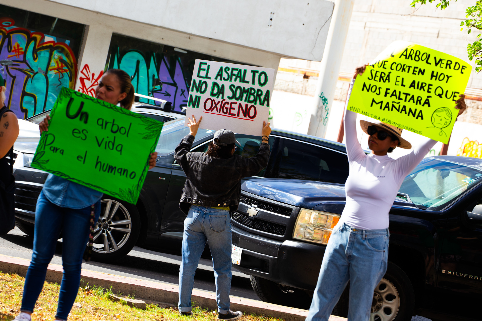 A la espera de sesión extraordinaria para abordar el trasplante de casi 100 árboles