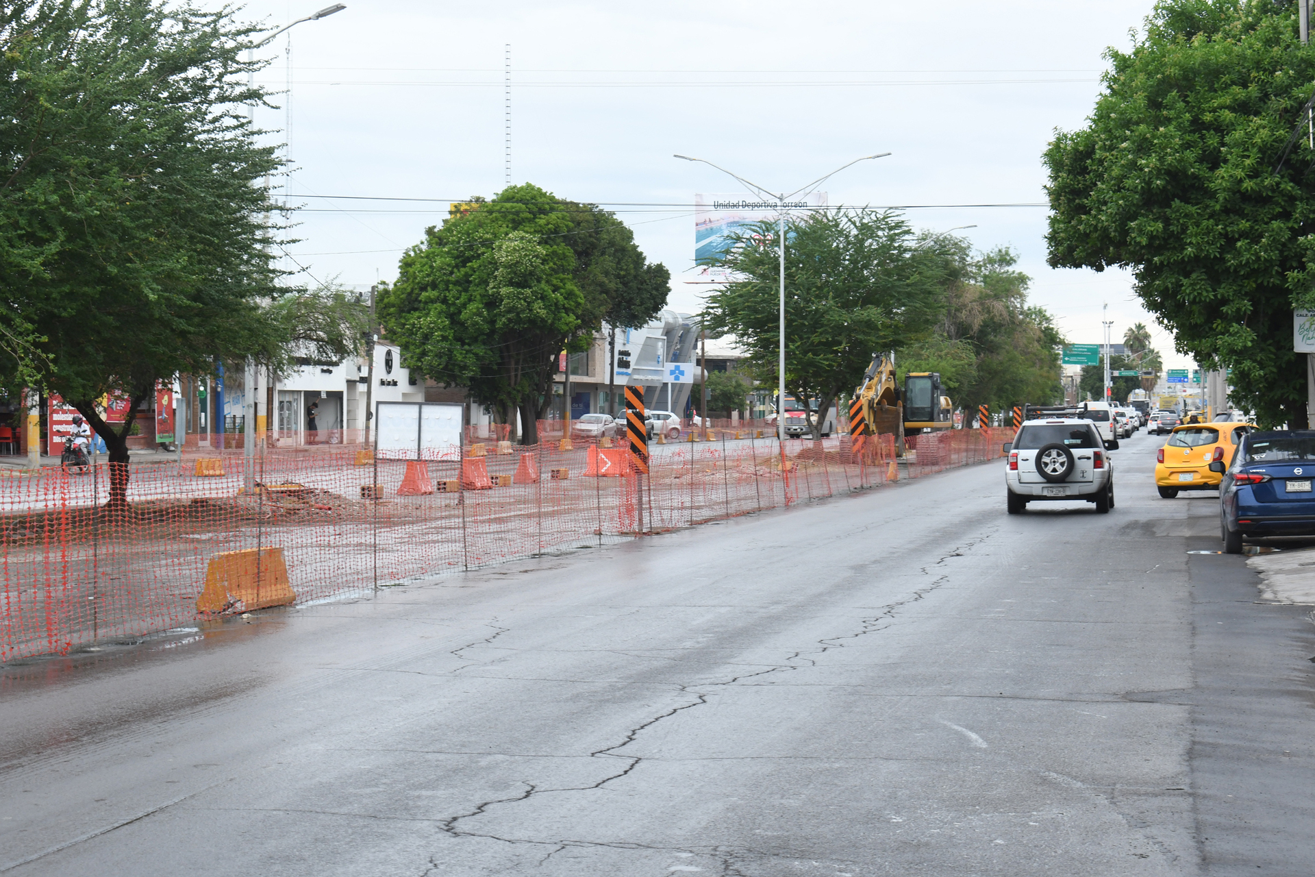 Reiteran que no habrá tala, sino trasplante de árboles en Sistema Vial Abastos-Independencia