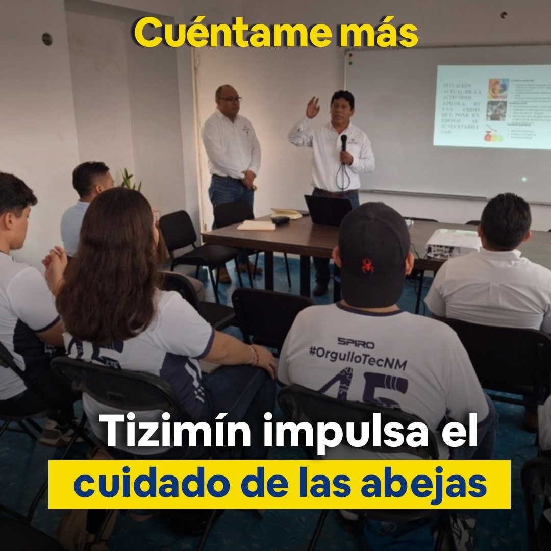 Tizimín impulsa el cuidado de las abejas