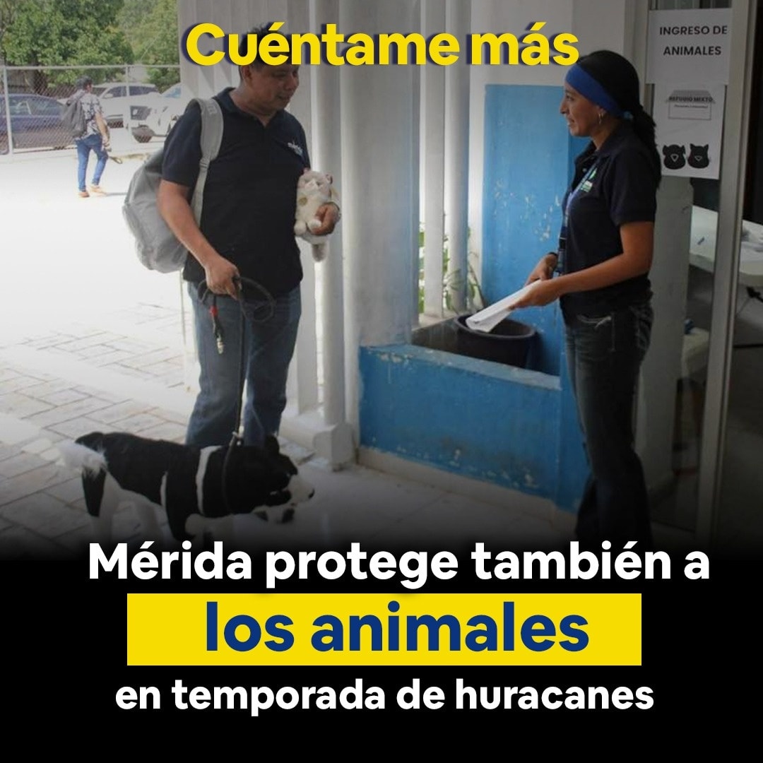 Mérida protege también a los animales en temporada de huracanes
