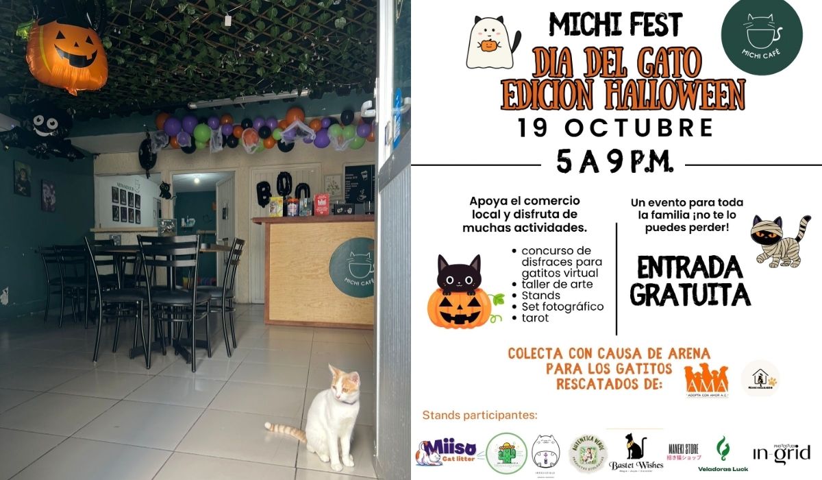 ¿Cómo participar en el Michi Fest de Halloween? Será en apoyo a albergues en Lerdo