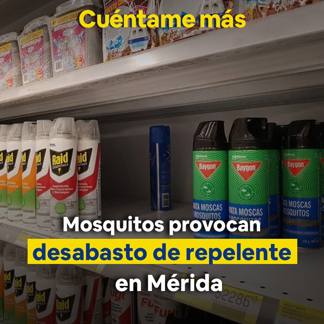 Mosquitos provocan desabasto de repelente en Mérida