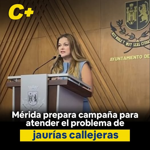 Mérida prepara campaña para atender el problema de jaurías callejeras