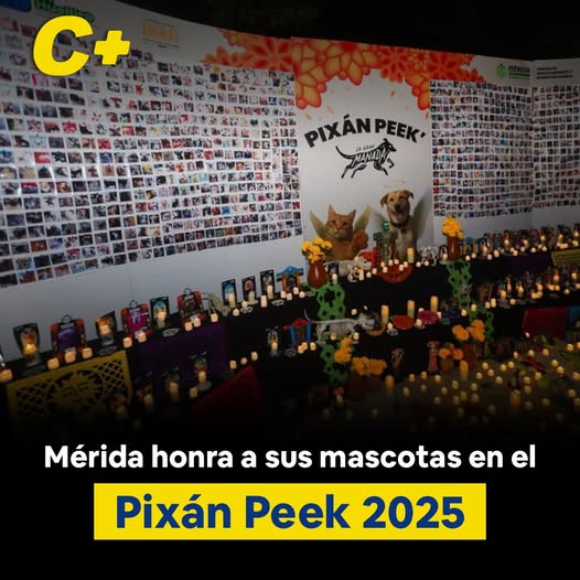 Eny Paredes, de Chocholá, es la nueva Embajadora de la Feria Xmatkuil 2025