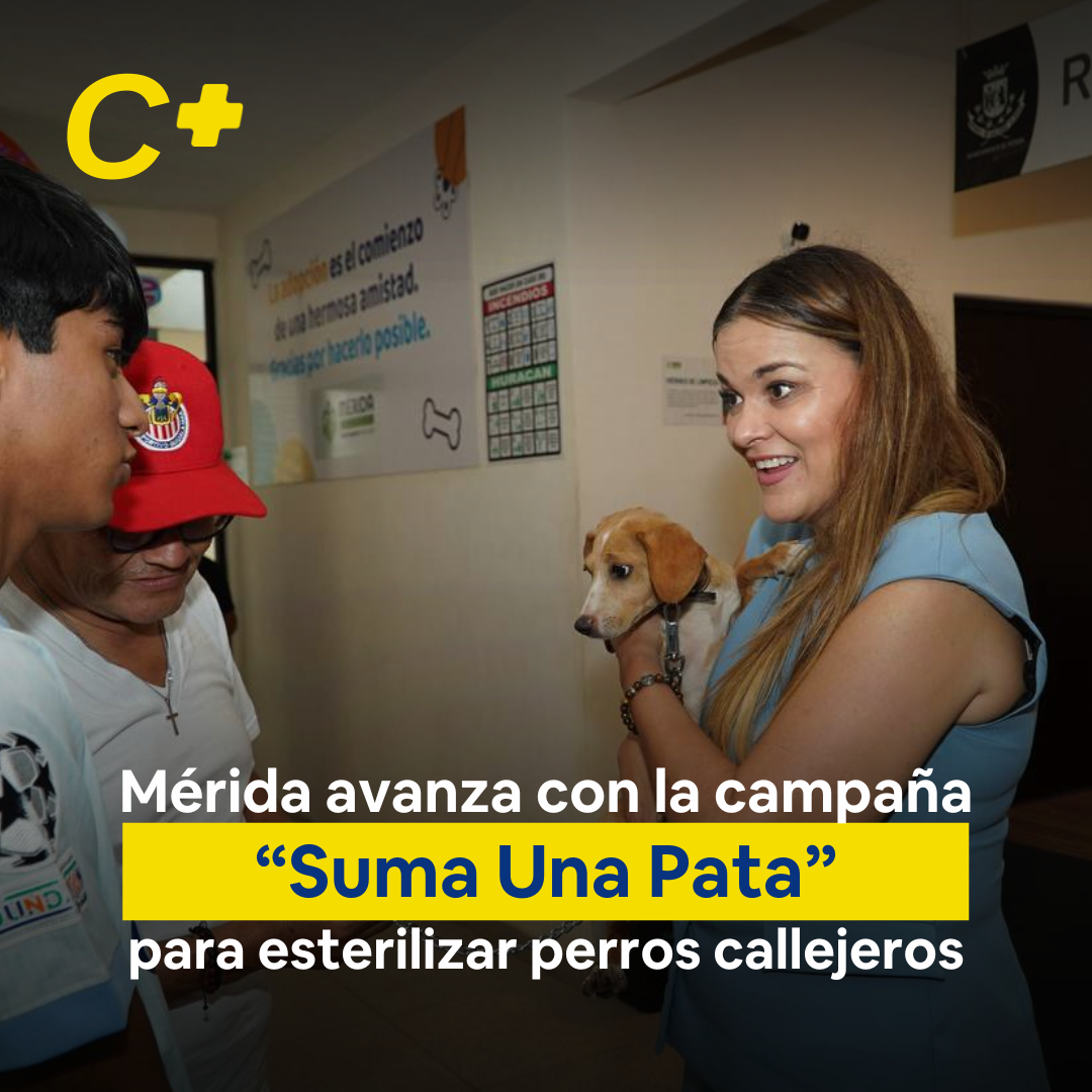 Mérida avanza con la campaña “Suma Una Pata” para esterilizar perros callejeros