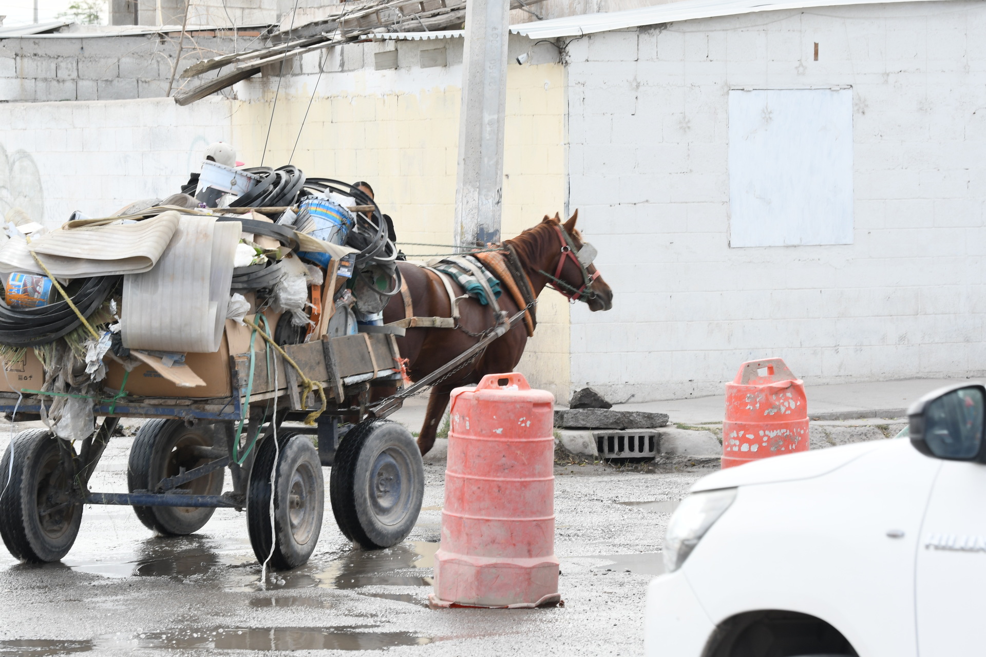 Promueven directorio para erradicar carromatos en recolección de basura
