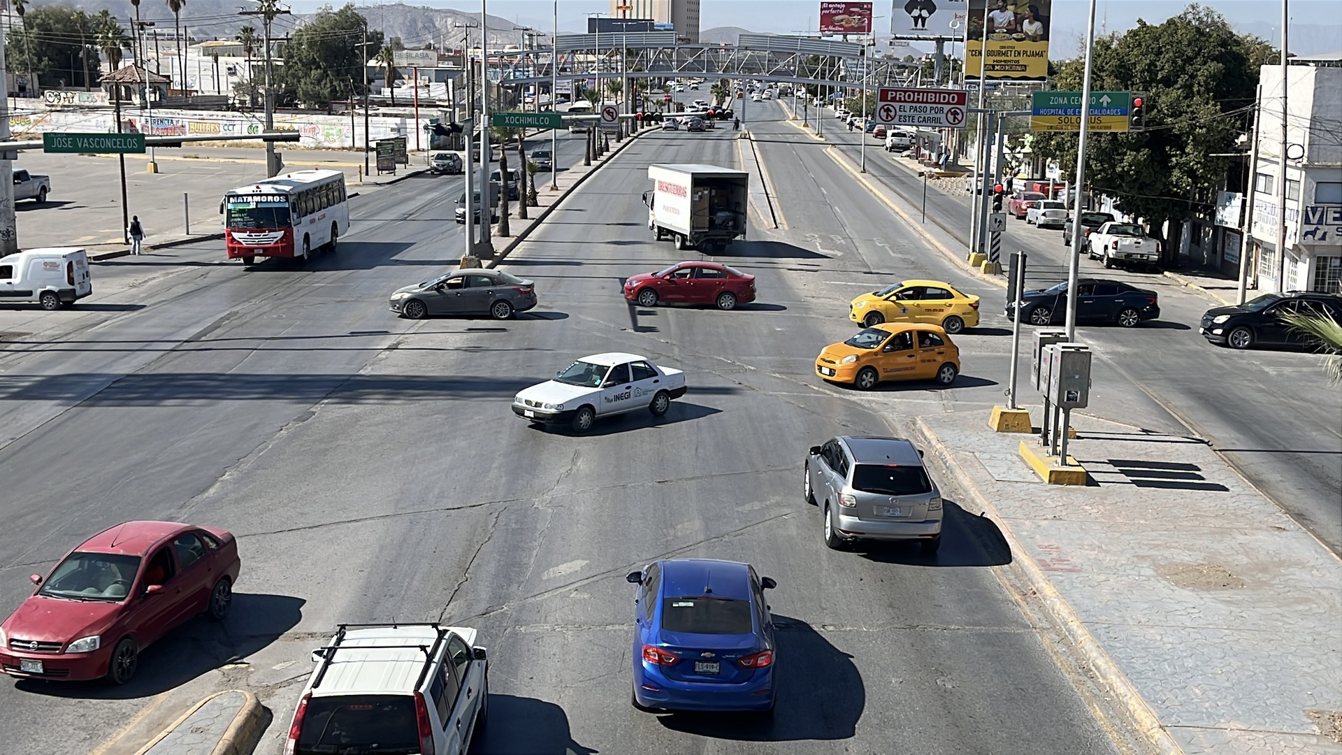 Retiran 80 palmas por obra vial en bulevar Revolución