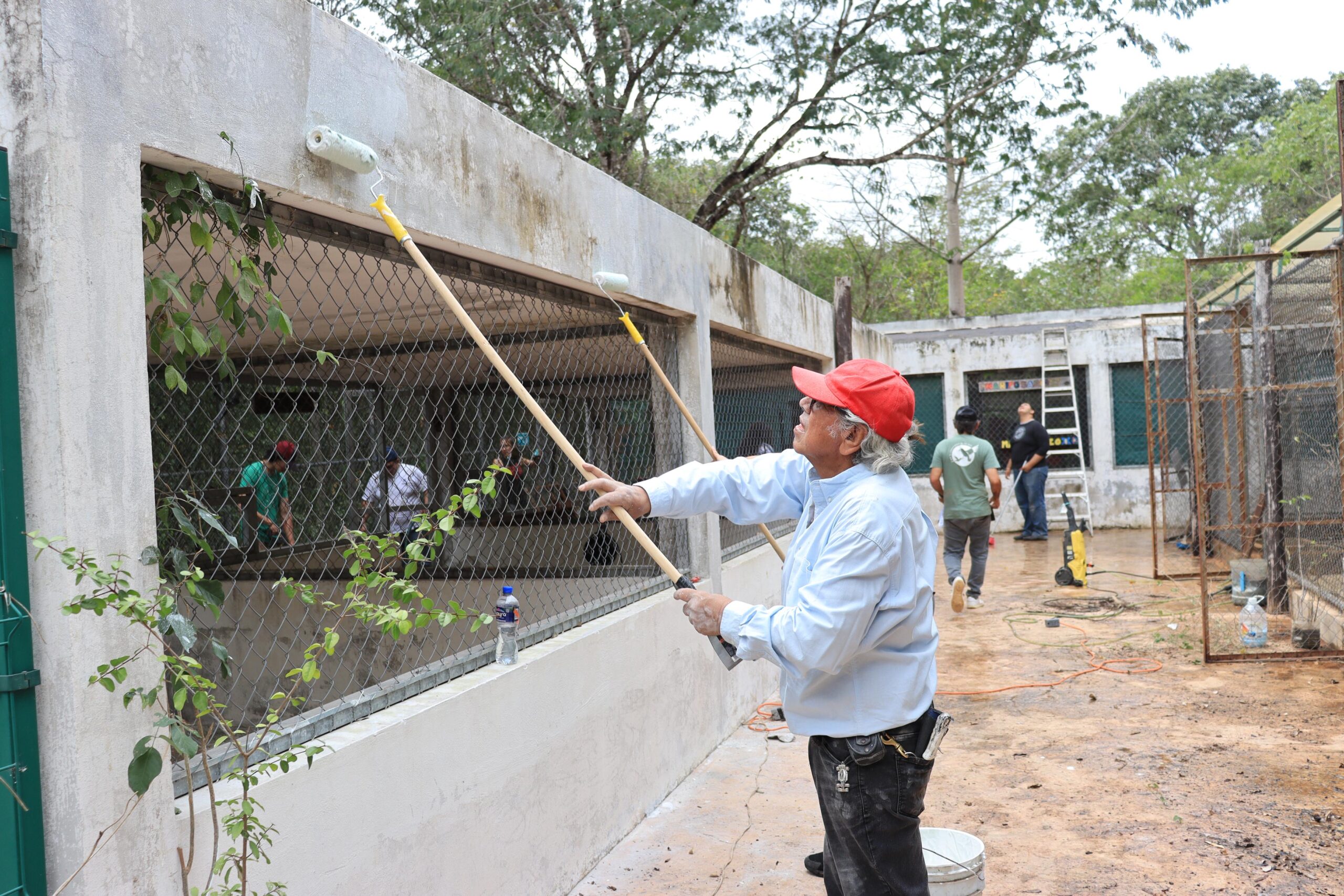 Parque Yumtsil fortalece la conservación de loros y aves silvestres