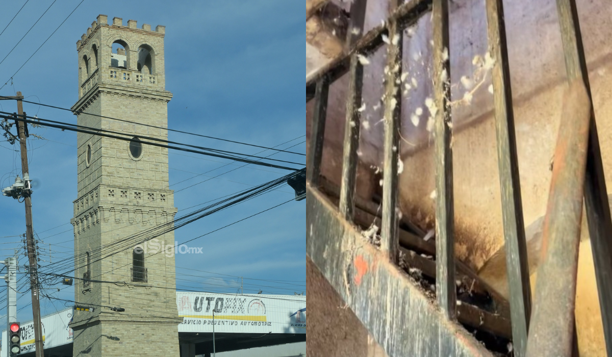 Así es por dentro la Torre Dodson que se encuentra en la avenida Presidente Carranza