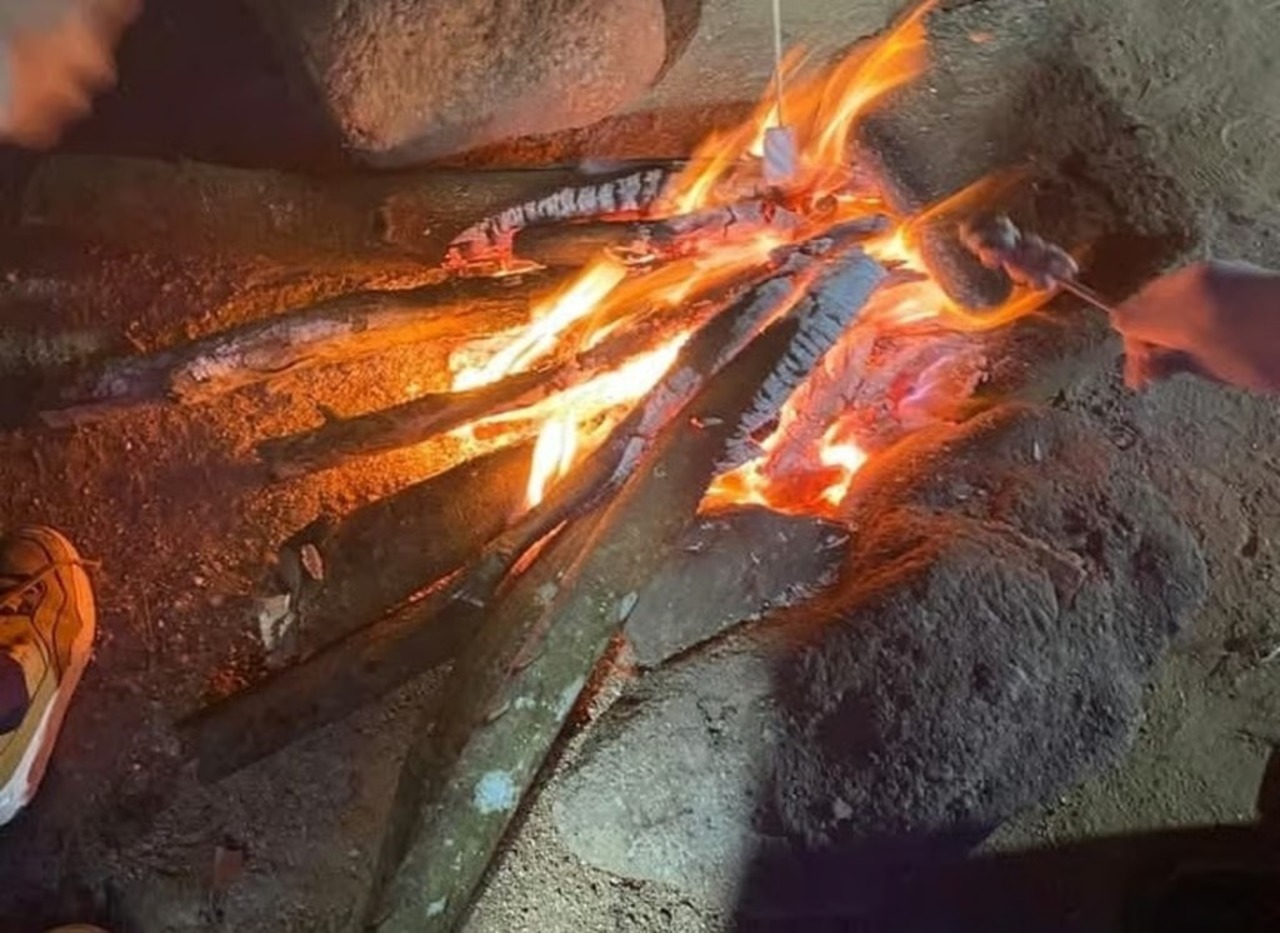 Multas de hasta 3.5 mdp por encender fogatas en áreas boscosas de Coahuila