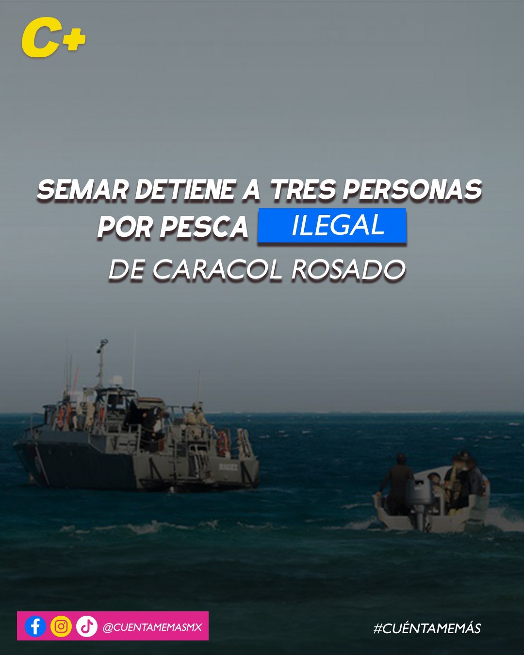 SEMAR detiene a tres personas por pesca ilegal de caracol rosado