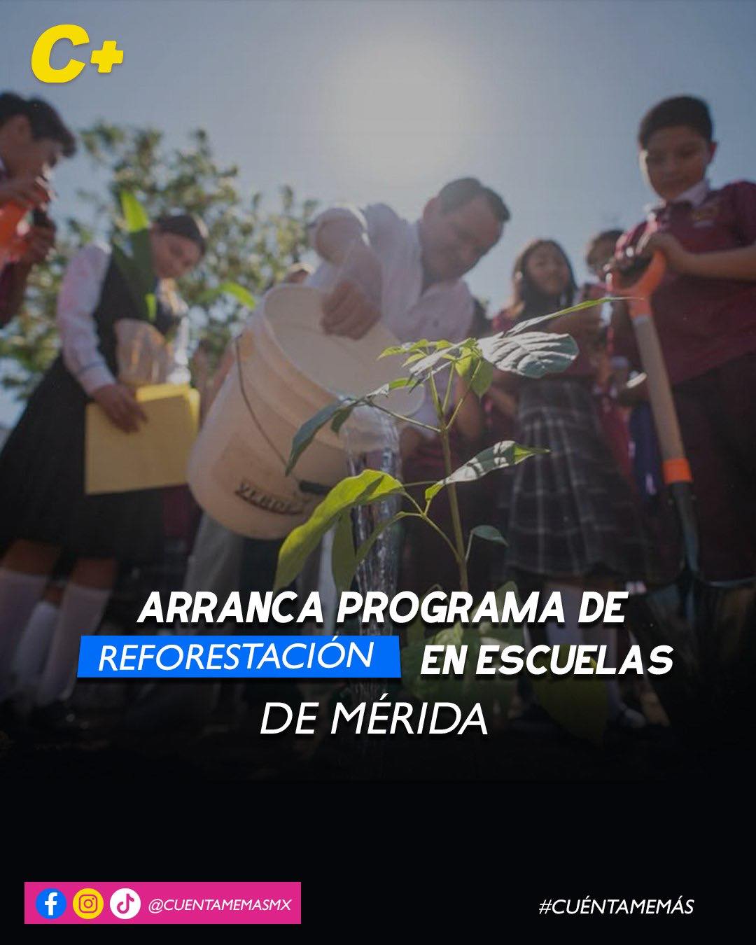 Arranca programa de reforestación en escuelas de Mérida