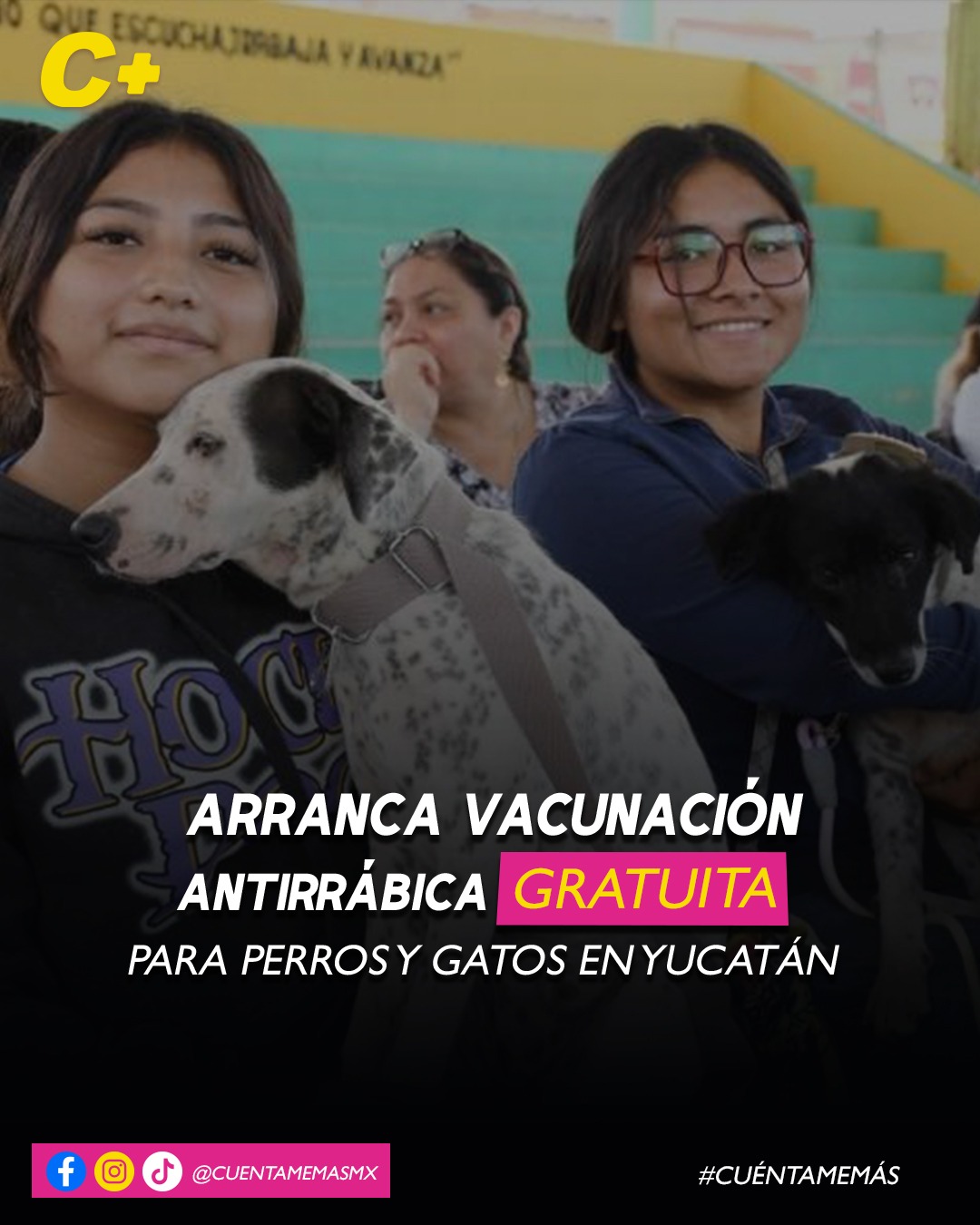 Arranca vacunación antirrábica gratuita para perros y gatos en Yucatán