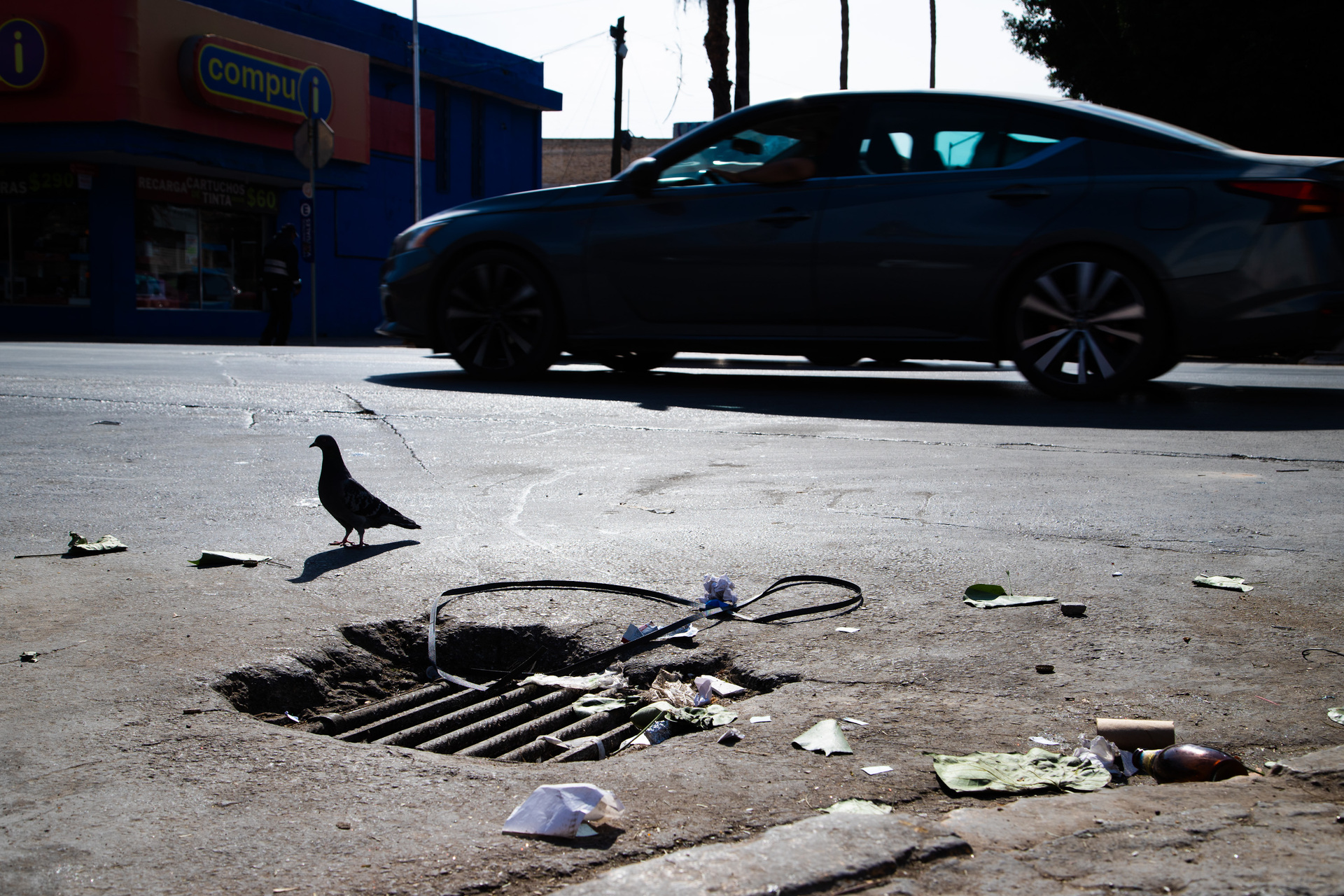 Drenaje pluvial en Torreón sigue sin avances ni recursos