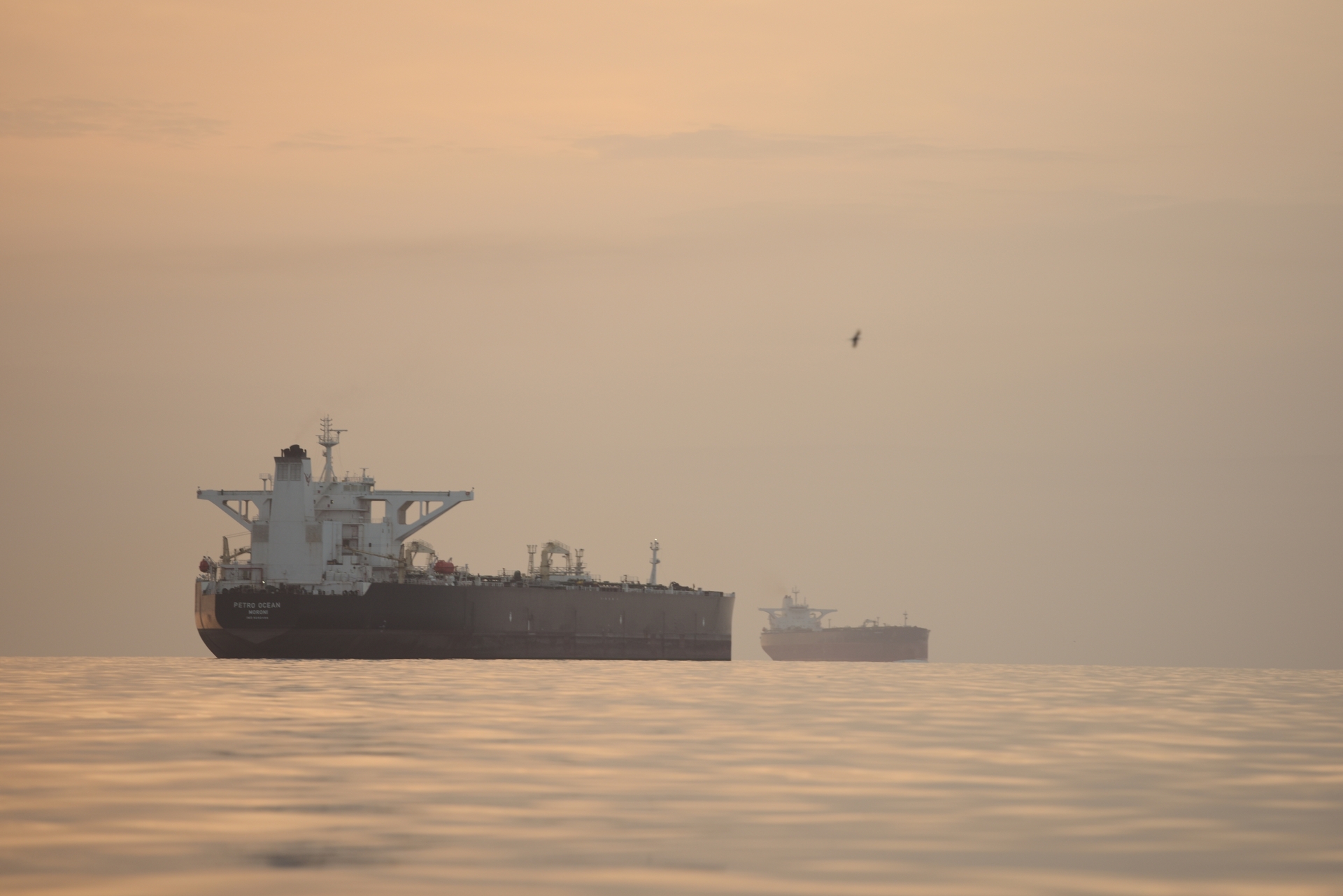 Incauta EU buque iraní cerca del estrecho de Ormuz