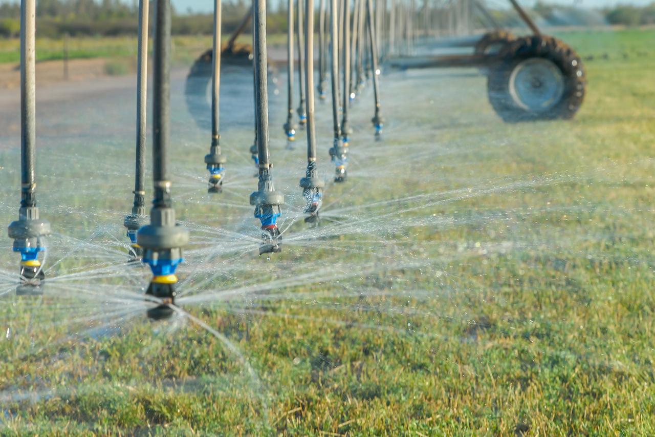 La irregularidad en concesiones de agua frena la tecnificación agrícola, advierte Conagua