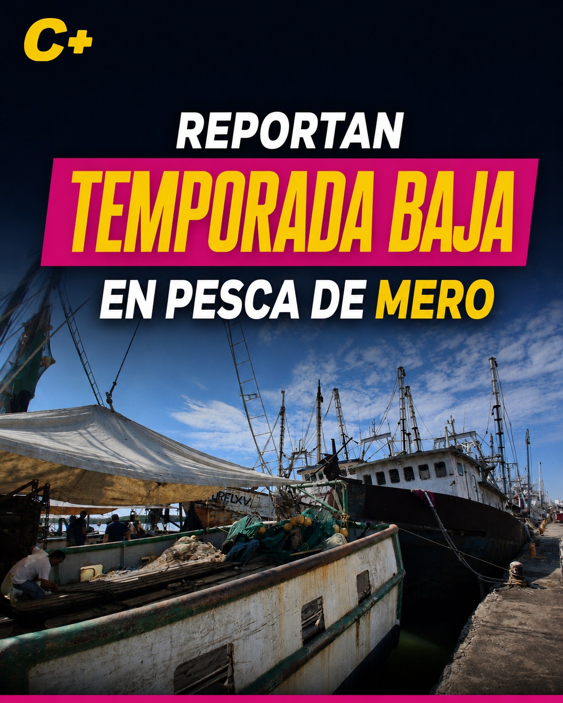 Temporada de mero arranca floja y con capturas bajas en Yucatán