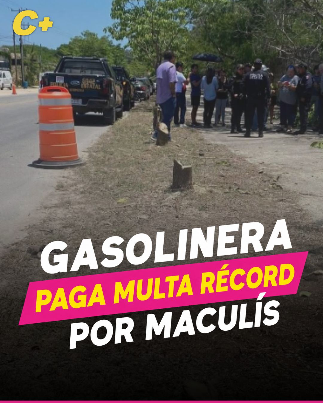 Multa histórica de Mérida a gasolinera por tala de árboles