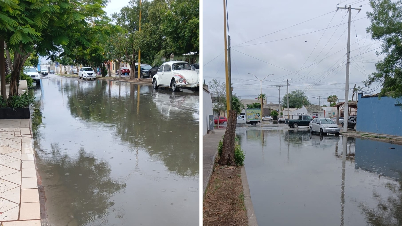 Vecinos de Torreón 2000 exigen atención de Simas Rural y Simas Torreón ante brote de aguas negras