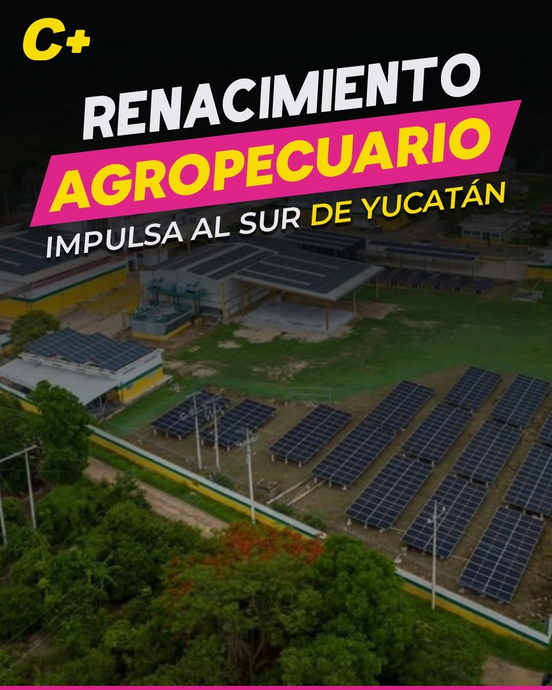 Renacimiento Agropecuario impulsa al sur de Yucatán