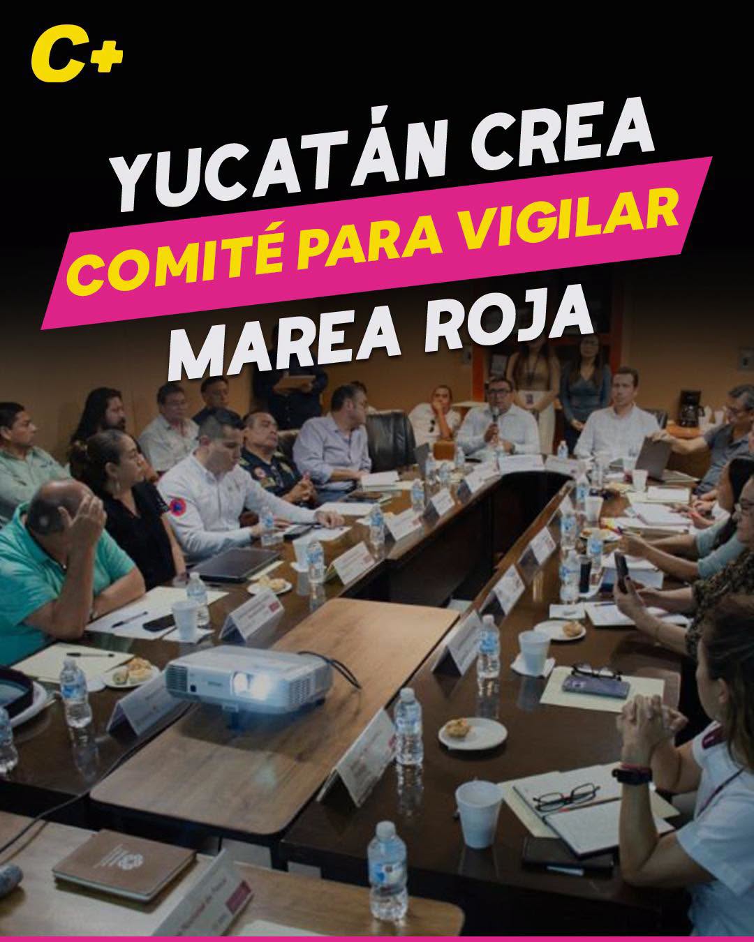 Gobierno de Yucatán crea comité permanente para monitorear la marea roja