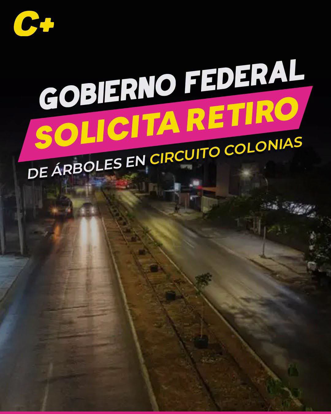 Gobierno Federal solicita retiro de árboles en Circuito Colonias