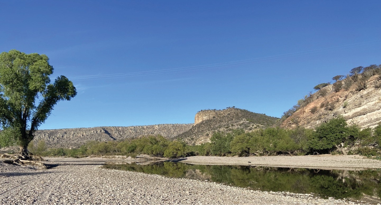 6943 voces se levantan por el acuífero de La Laguna