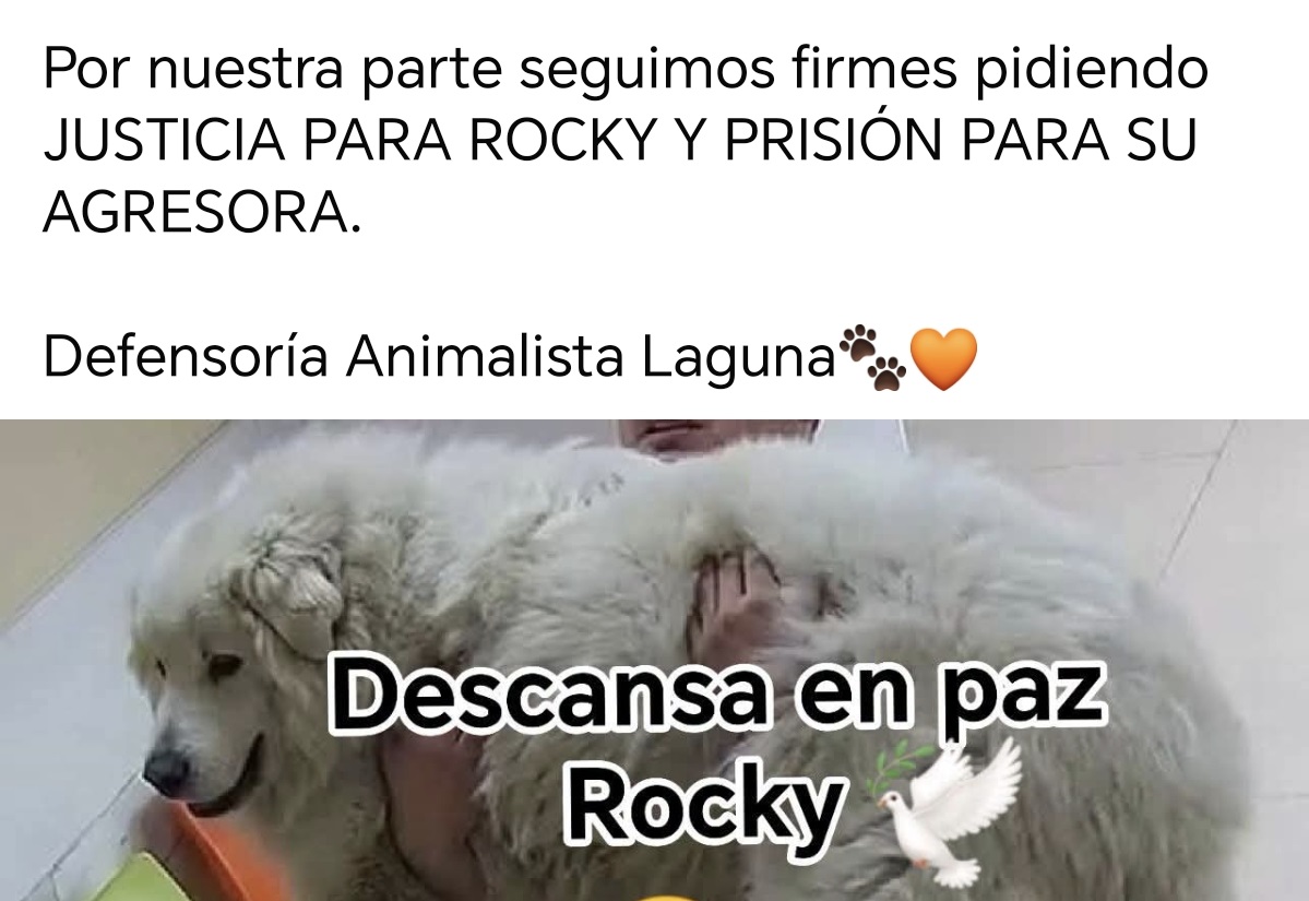 Alzan la voz por caso de perro ‘Rocky’