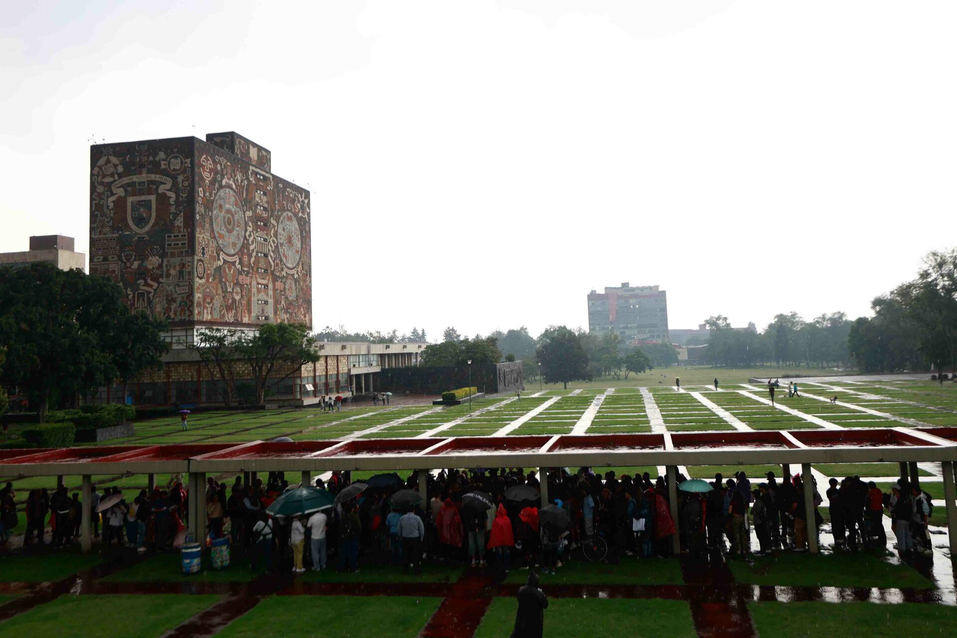 ¿Se repetirá el examen de la UNAM? Hoy anunciarán la decisión