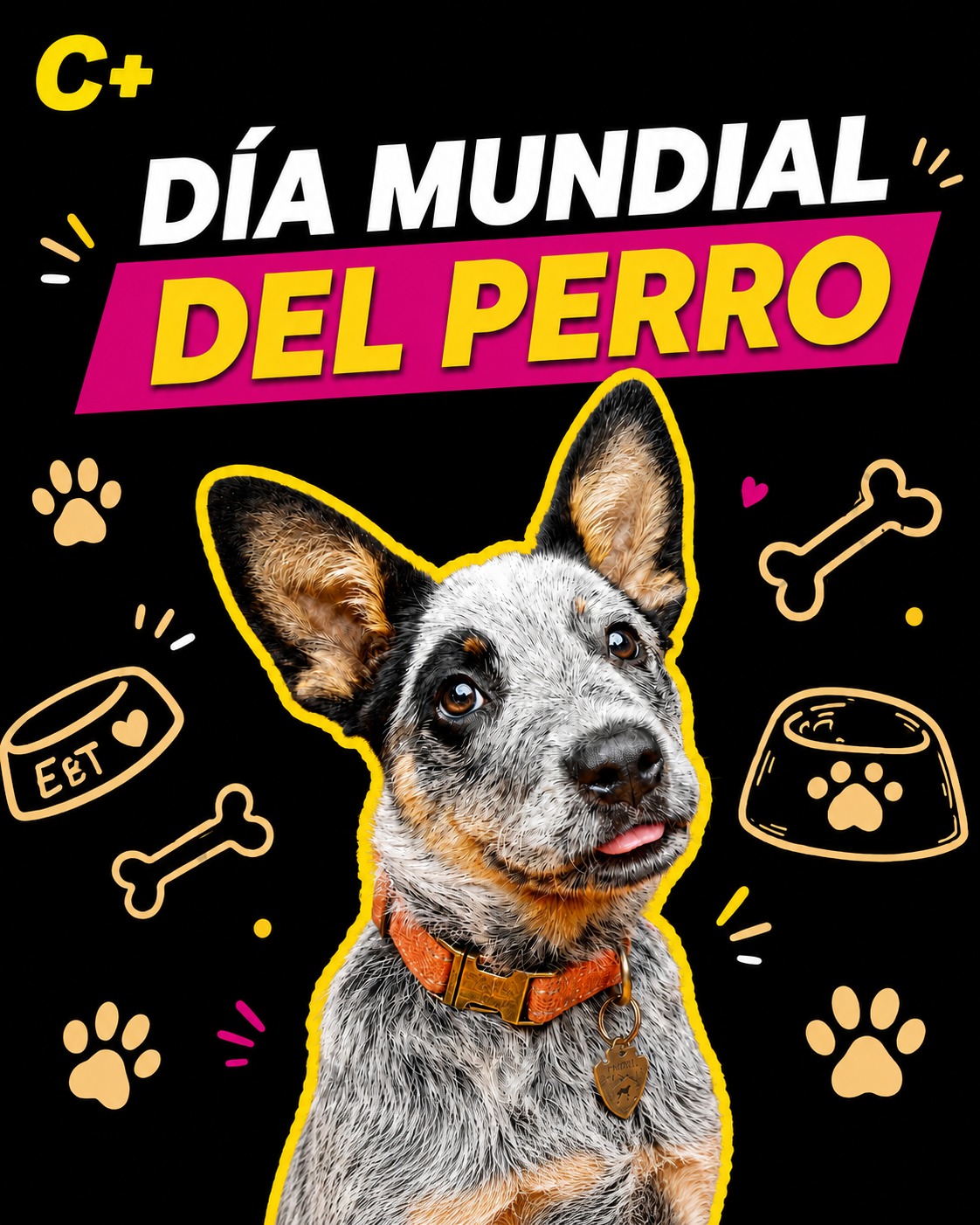 Este 21 de julio se celebra el Día Mundial del Perro . Una fecha dedicada a esos fieles compañeros que llenan los hogares de alegría, cariño y momentos inolvidables.