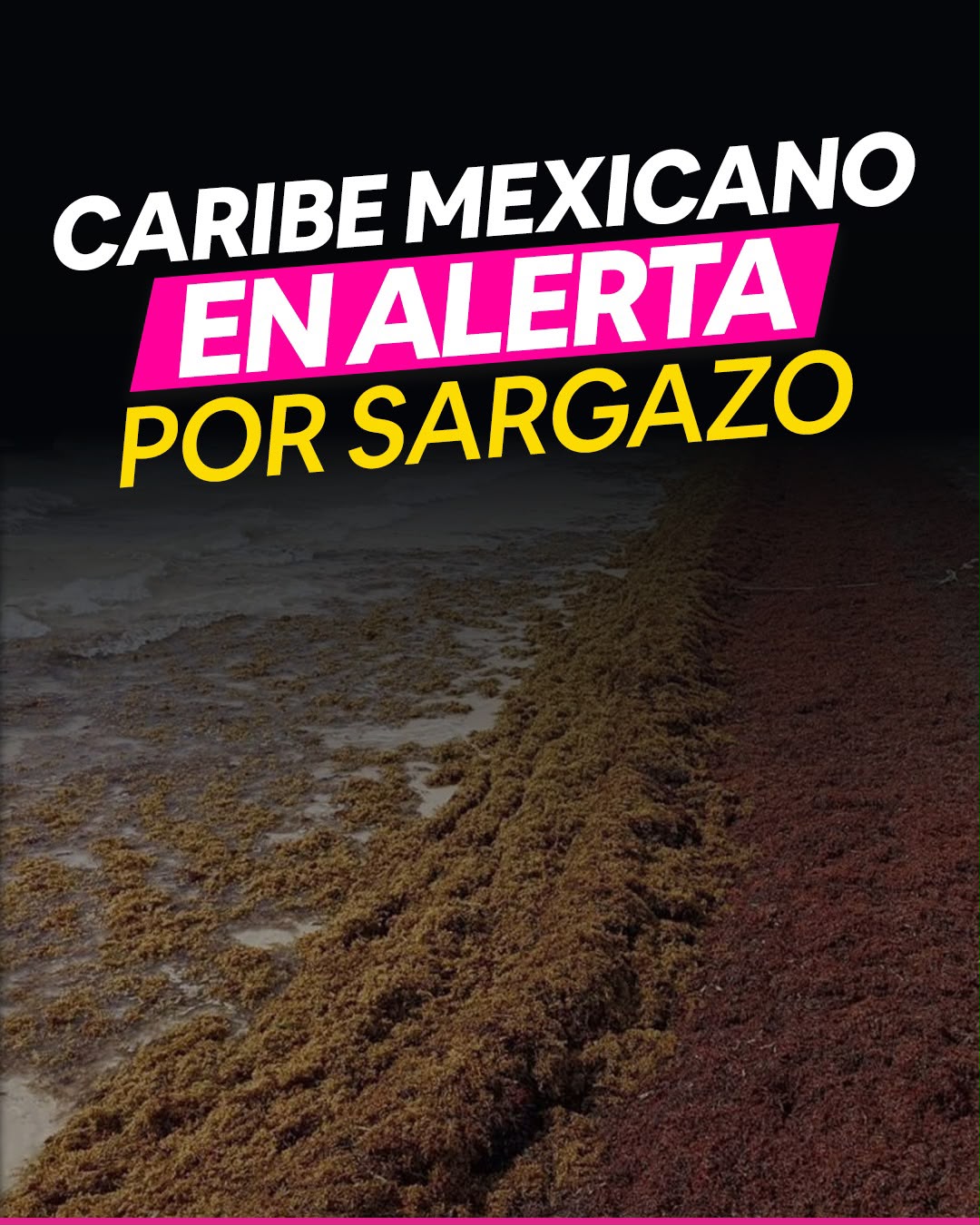El problema ya supera por mucho los registros habituales .