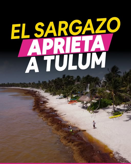 Hoteleros de Tulum descartan cerrar por temporada .