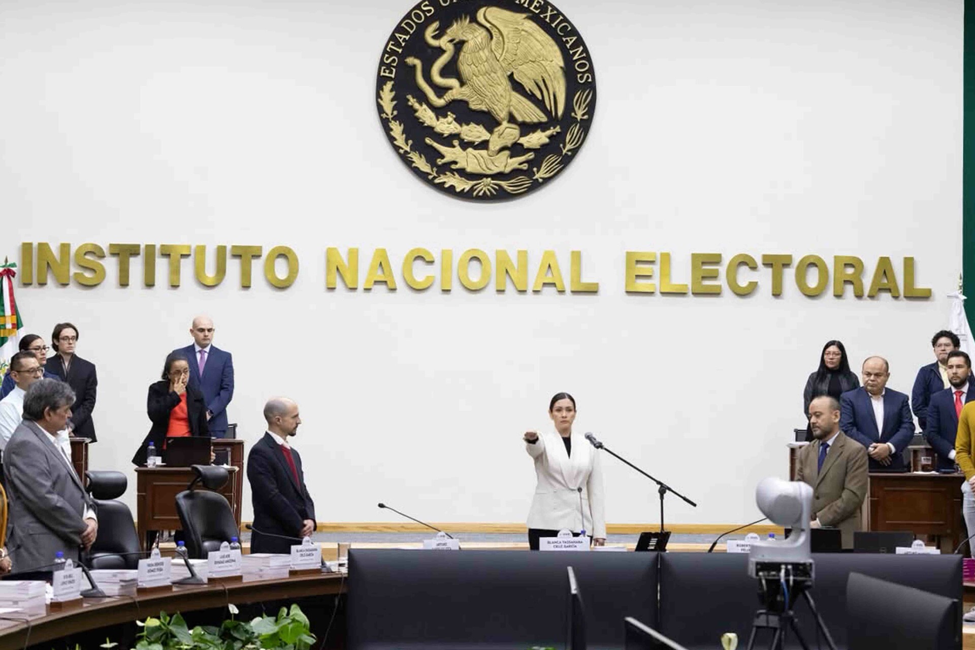 INE elige presidenta interina a Blanca Cruz